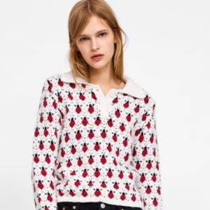 Zara ladybug insect sweater in small nwt